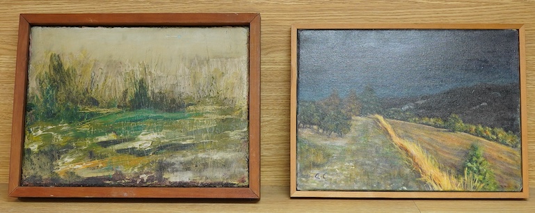 Contemporary School, Windswept landscape at night, monogrammed A. C., oil on canvas, together with a similar example by a different hand, 24 x 33cm